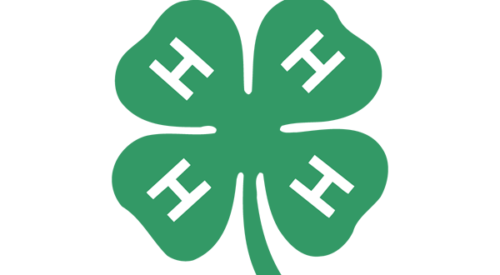 Lawrence County 4-H Benefit Auction